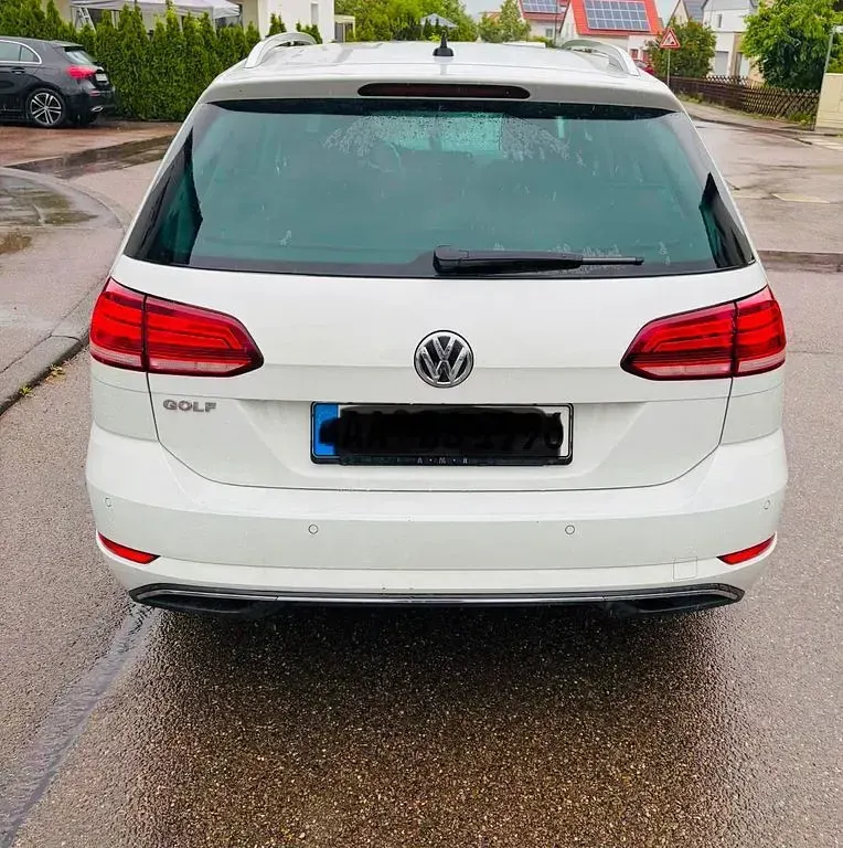 Gebraucht VW Golf Alltrack 150 PS (110 kW) 2019 Weiß Kombi