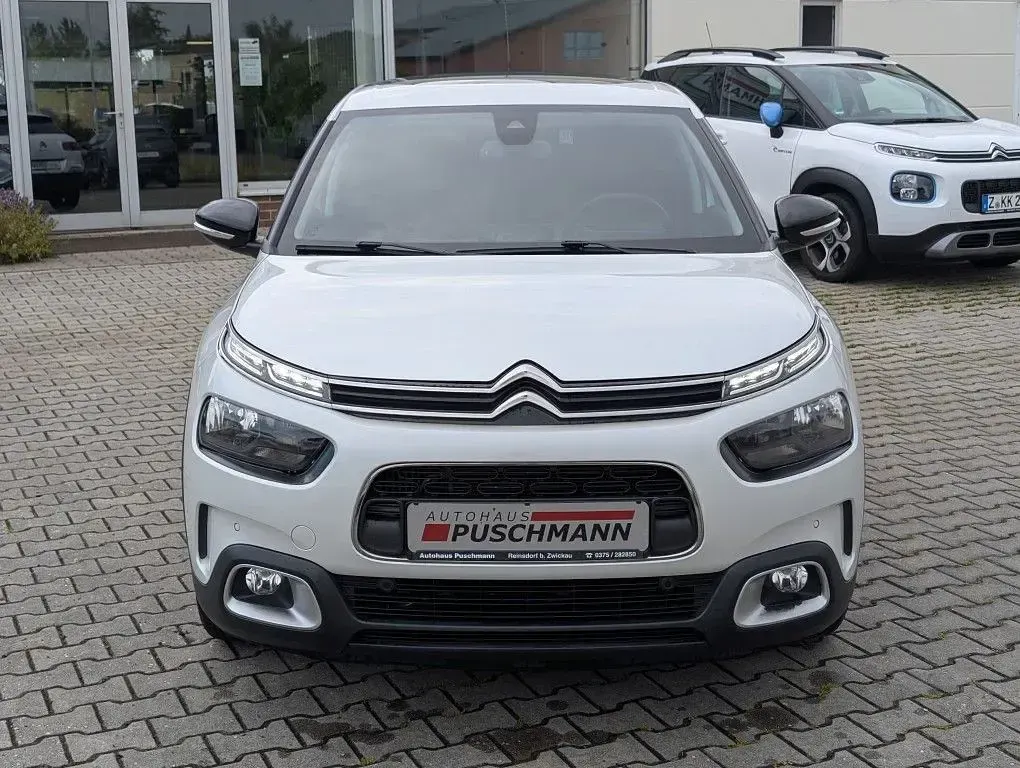 Gebraucht Citroën C4 Cactus PureTech 131 PS (96 kW) 2019 Weiß Kleinwagen