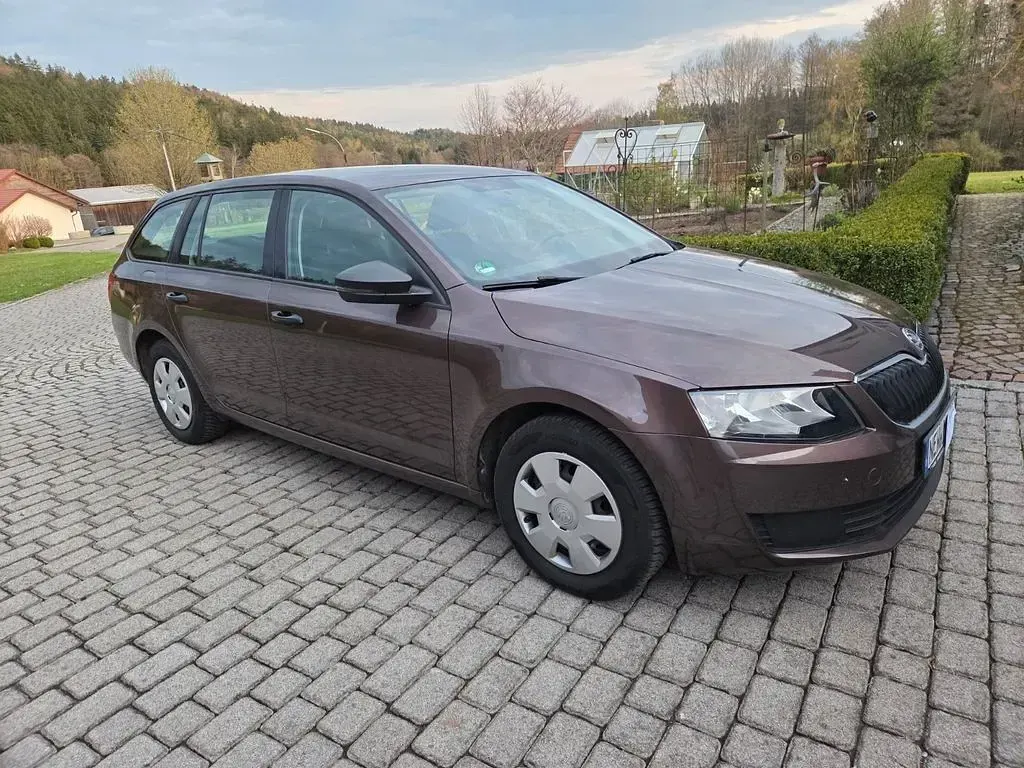 Gebraucht Skoda Octavia Active 105 PS (77 kW) 2014 Braun Kombi