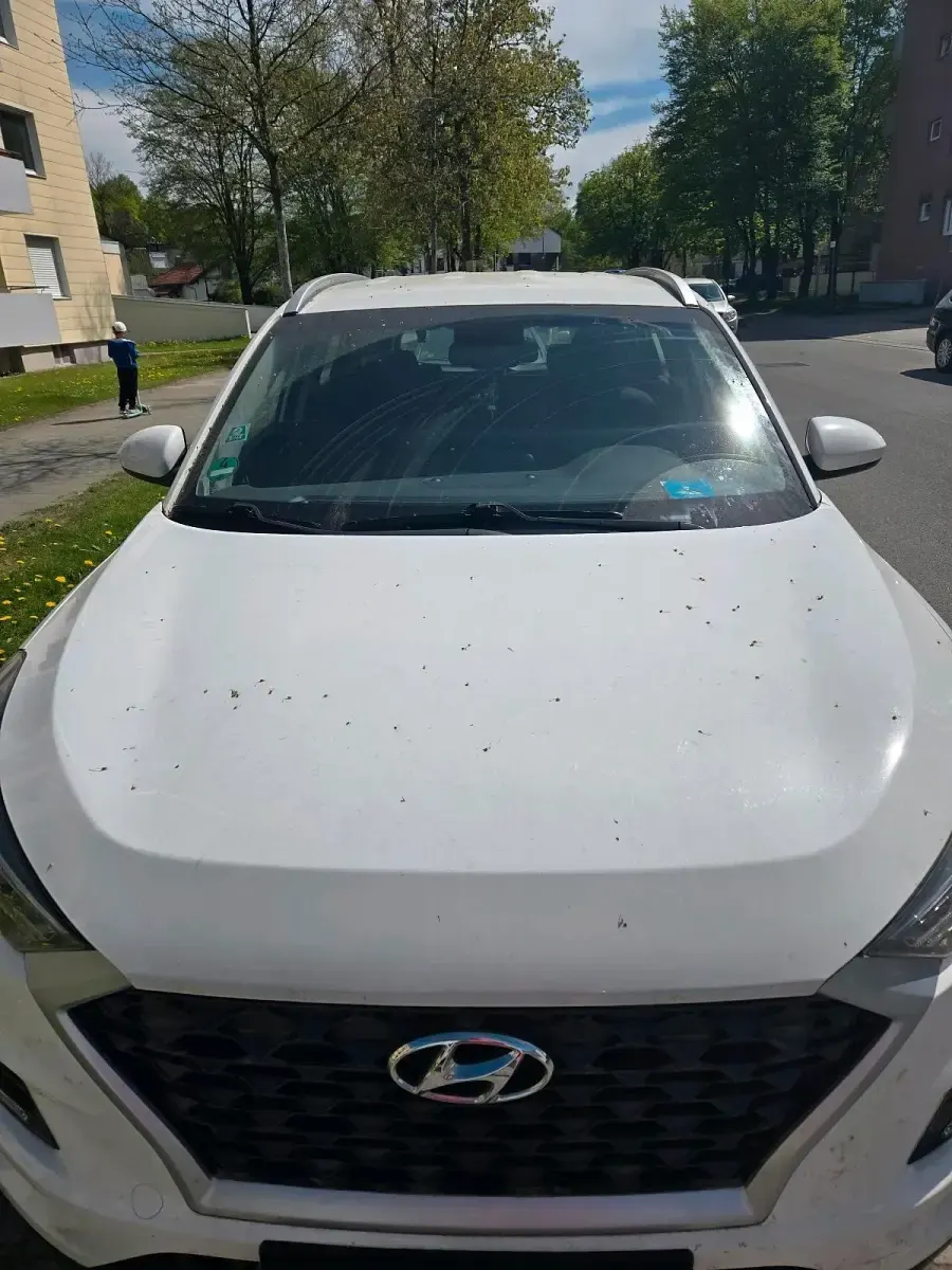 Gebraucht Hyundai Tucson 132 PS (97 kW) 2018 Weiß SUV