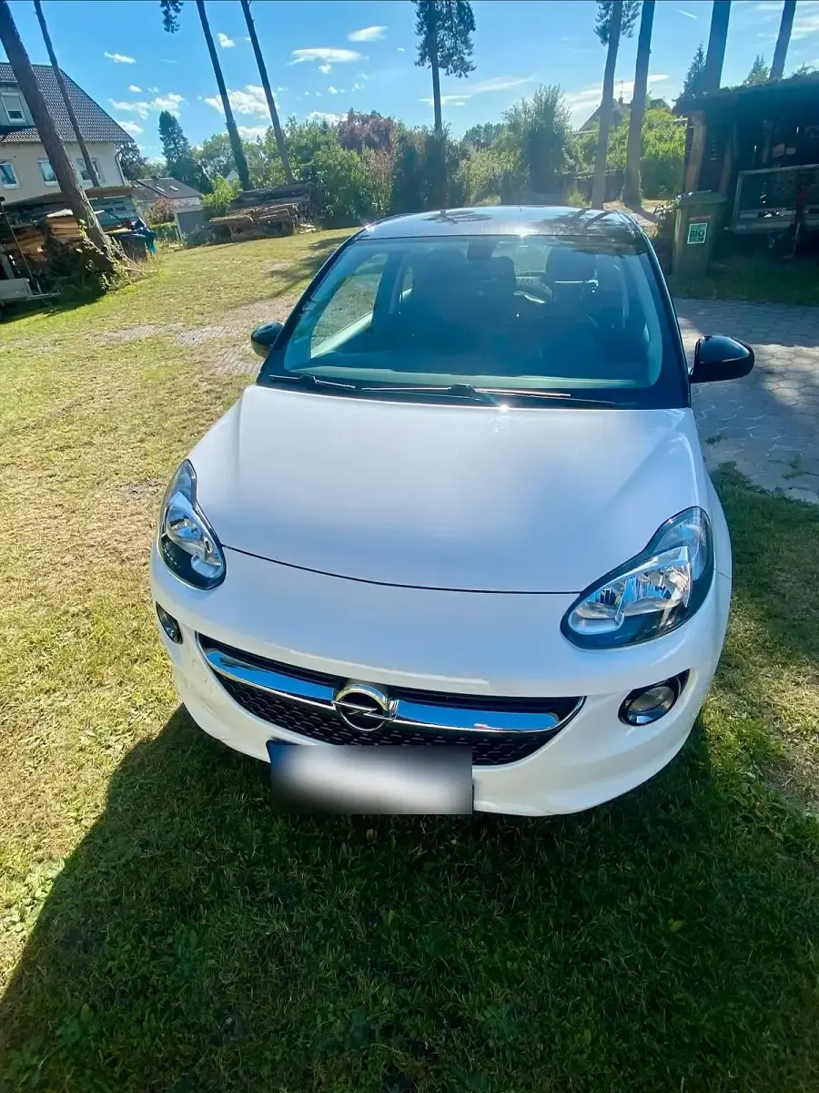 Gebraucht Opel Adam 69 PS (50 kW) 2016 Weiß Kleinwagen