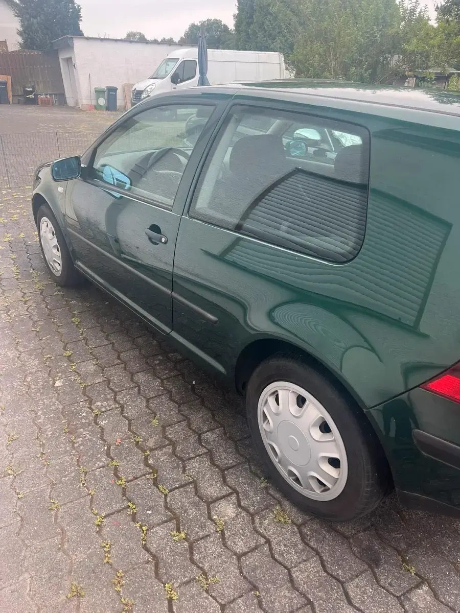 Gebraucht VW Golf IV Edition 105 PS (77 kW) 2001 Grün Kleinwagen