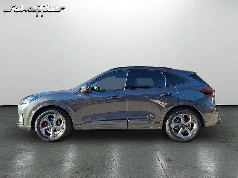 Gebraucht Ford Kuga ST-Line X 186 PS (136 kW) 2025 Magneticgrau (metallic) SUV