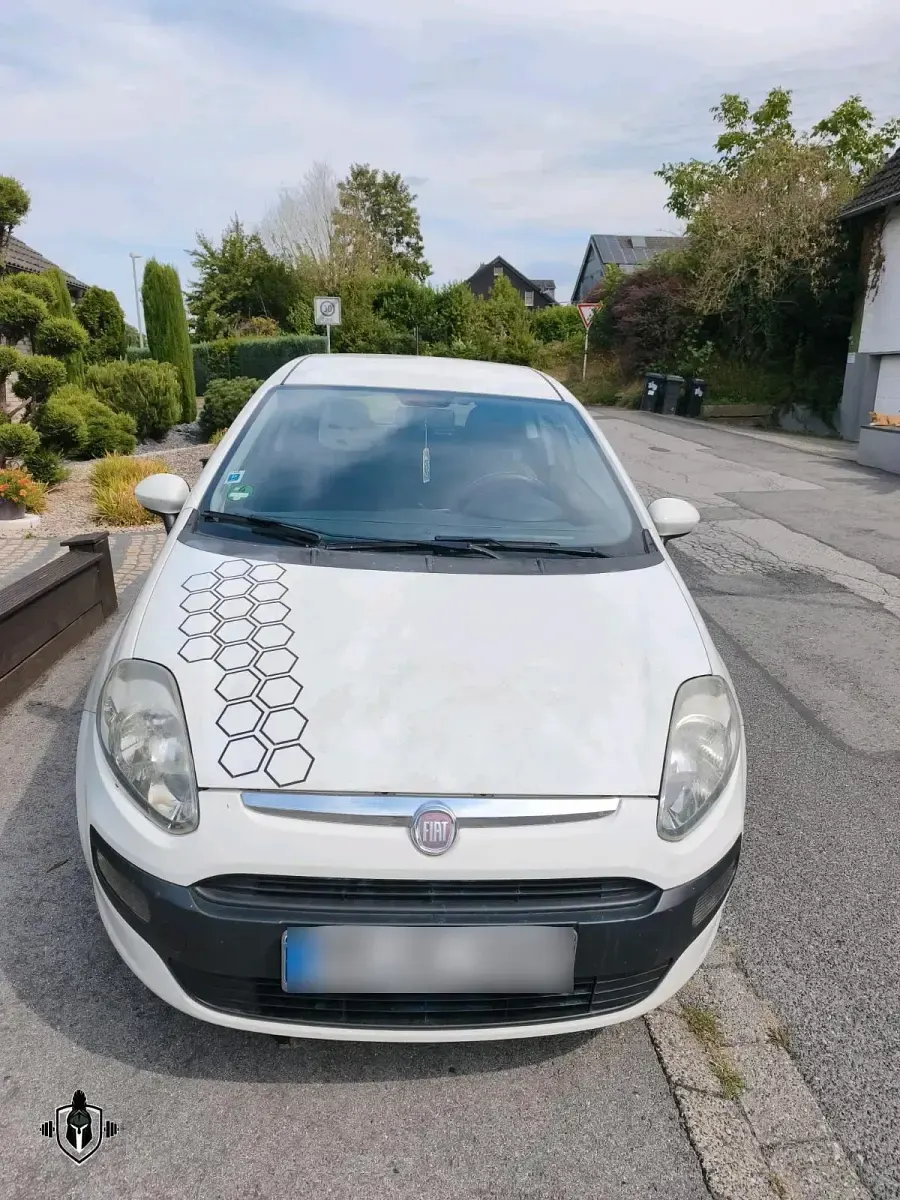 Gebraucht Fiat Punto Evo 77 PS (56 kW) 2009 Weiß Kleinwagen