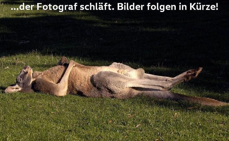 Deep black perleffekt (metallic) Gebraucht 2022 VW T-Cross Active SUV | 21.450 € (Guter Preis) - Bild 1/1