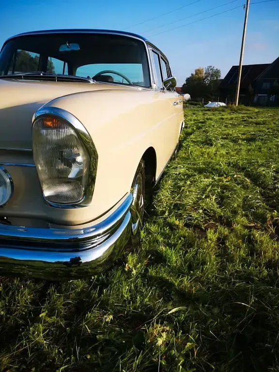 Gebraucht Mercedes 230 163 PS (119 kW) 1967 Beige Limousine