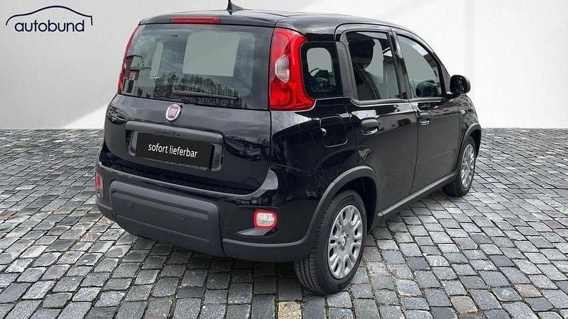 Gebraucht Fiat Panda 69 PS (50 kW) 2024 Schwarz Kleinwagen