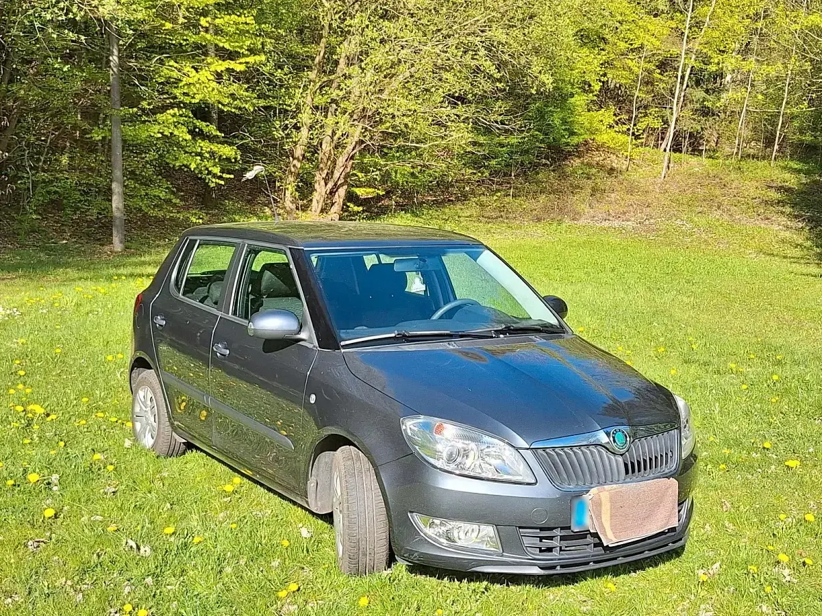 Second-hand Skoda Fabia 60 CP (44 kW) 2011 Gri Hatchback