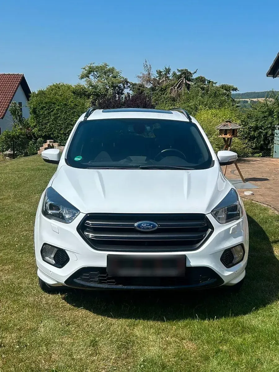 Gebraucht Ford Kuga ST-Line 150 PS (110 kW) 2019 Weiß SUV