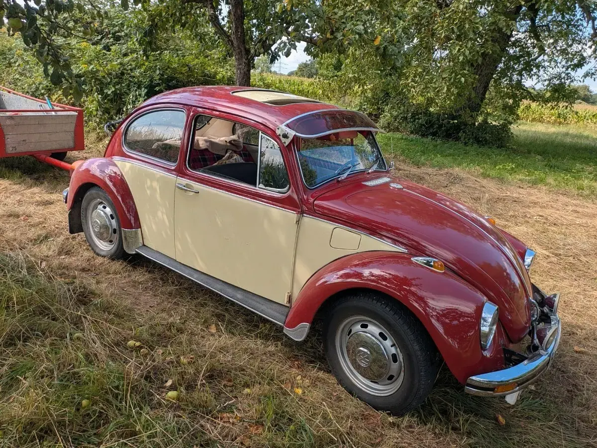 Gebraucht VW Käfer 39 PS (28 kW) 1970 Rot Kleinwagen