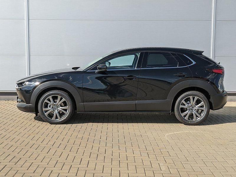 Nowe Mazda CX-30 Exclusive 186 KM (136 kW) 2026 Biały SUV