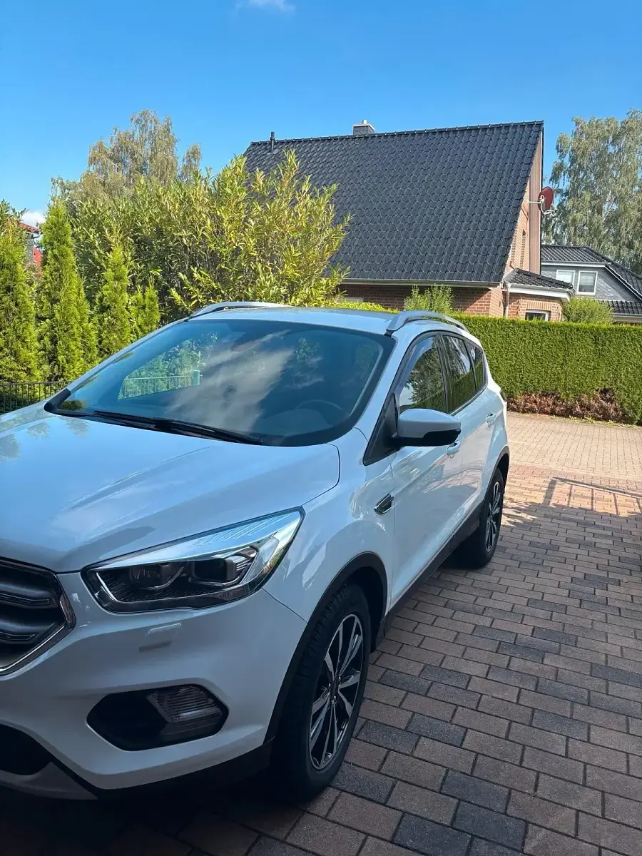 Gebraucht Ford Kuga 150 PS (110 kW) 2019 Weiß SUV