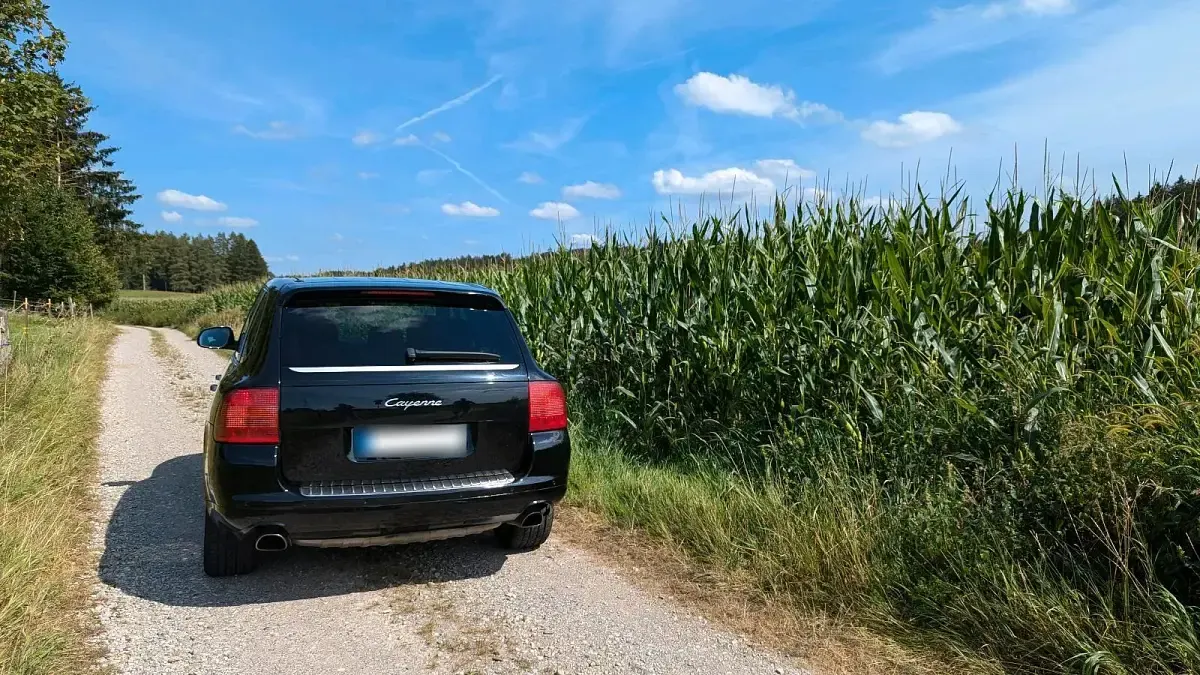 Gebraucht Porsche Cayenne 250 PS (183 kW) 2005 Schwarz SUV