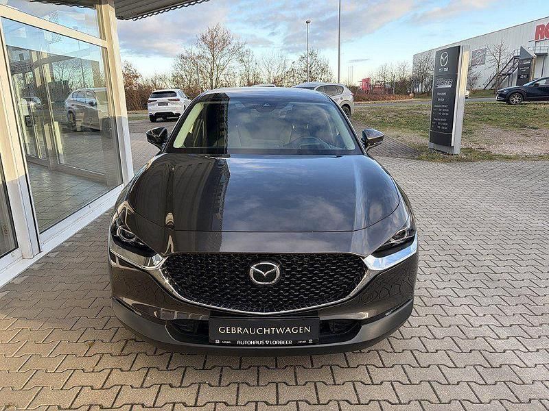 Gebraucht Mazda CX-30 Selection 150 PS (110 kW) 2020 Grau SUV