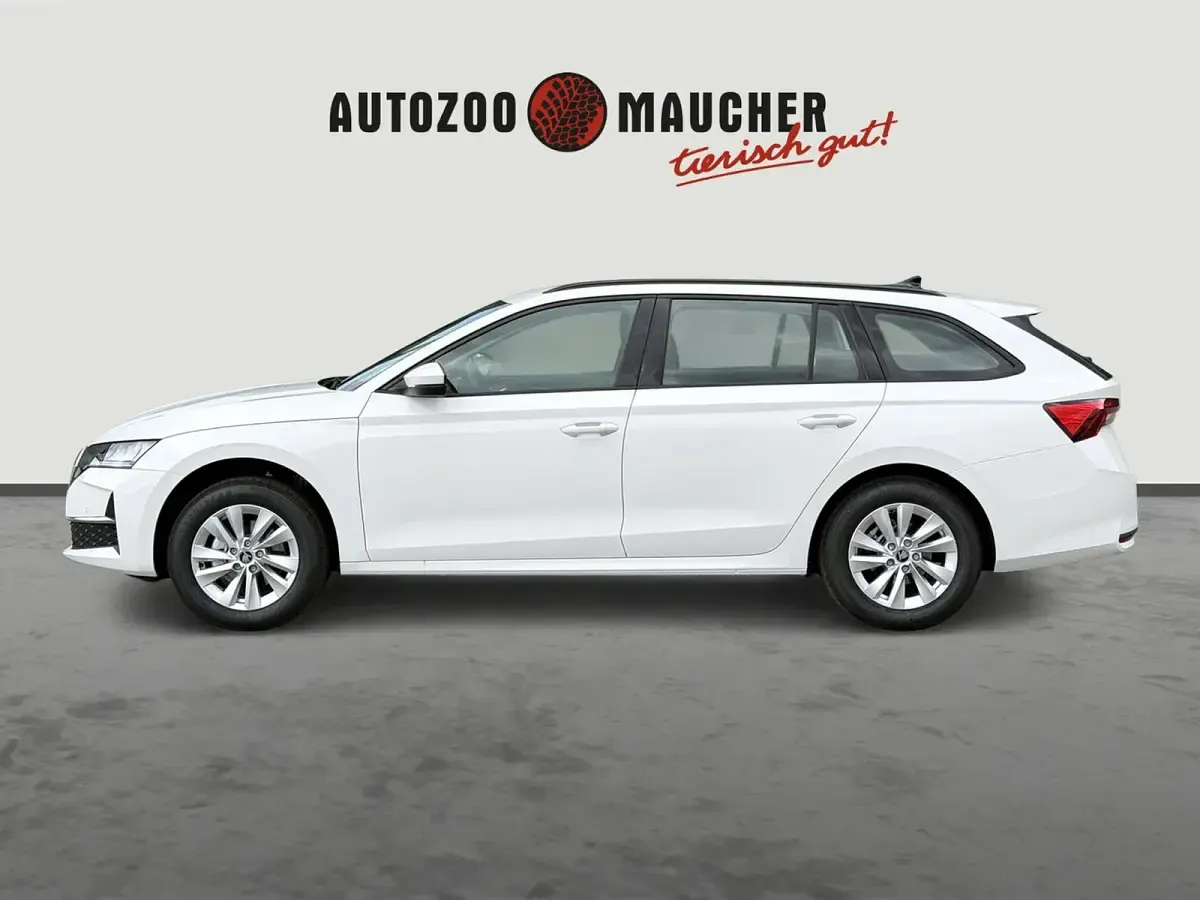 Neu Skoda Octavia Selection 150 PS (110 kW) 2026 Candyweiss Kombi