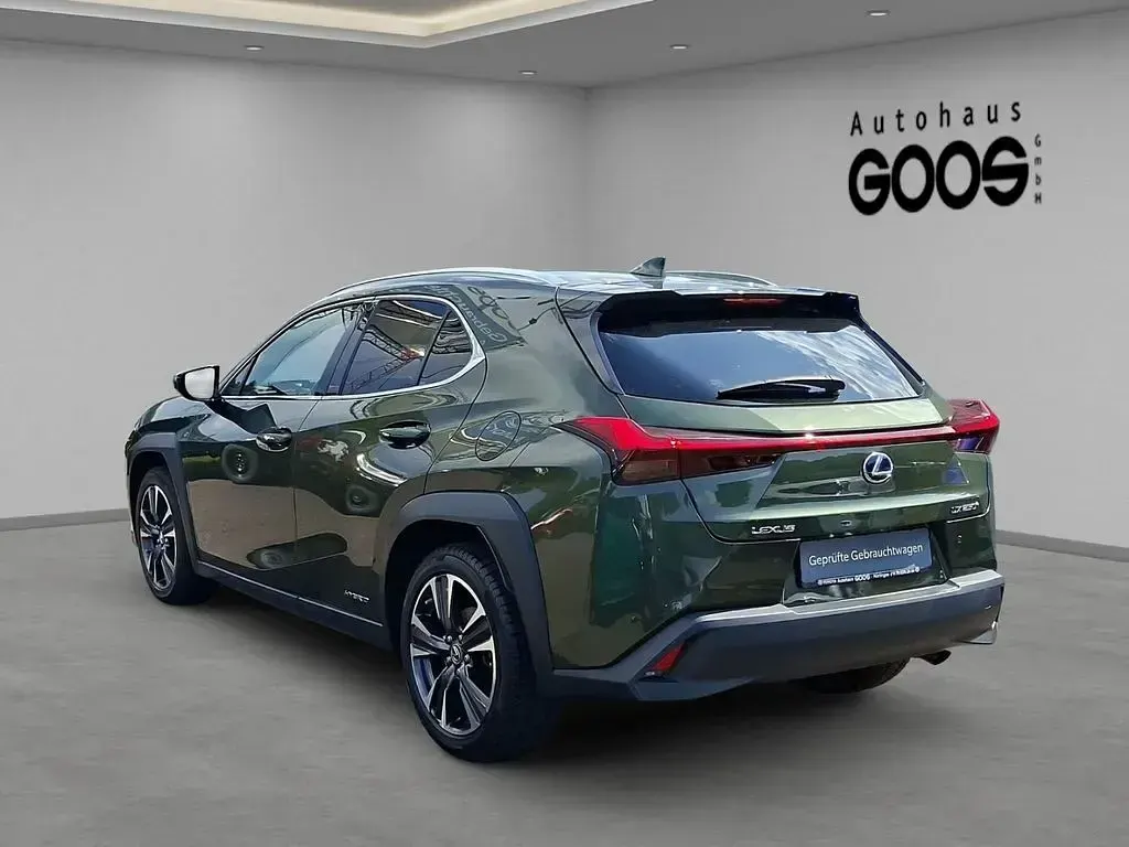 Gebraucht Lexus UX 250h 184 PS (135 kW) 2023 Grün SUV