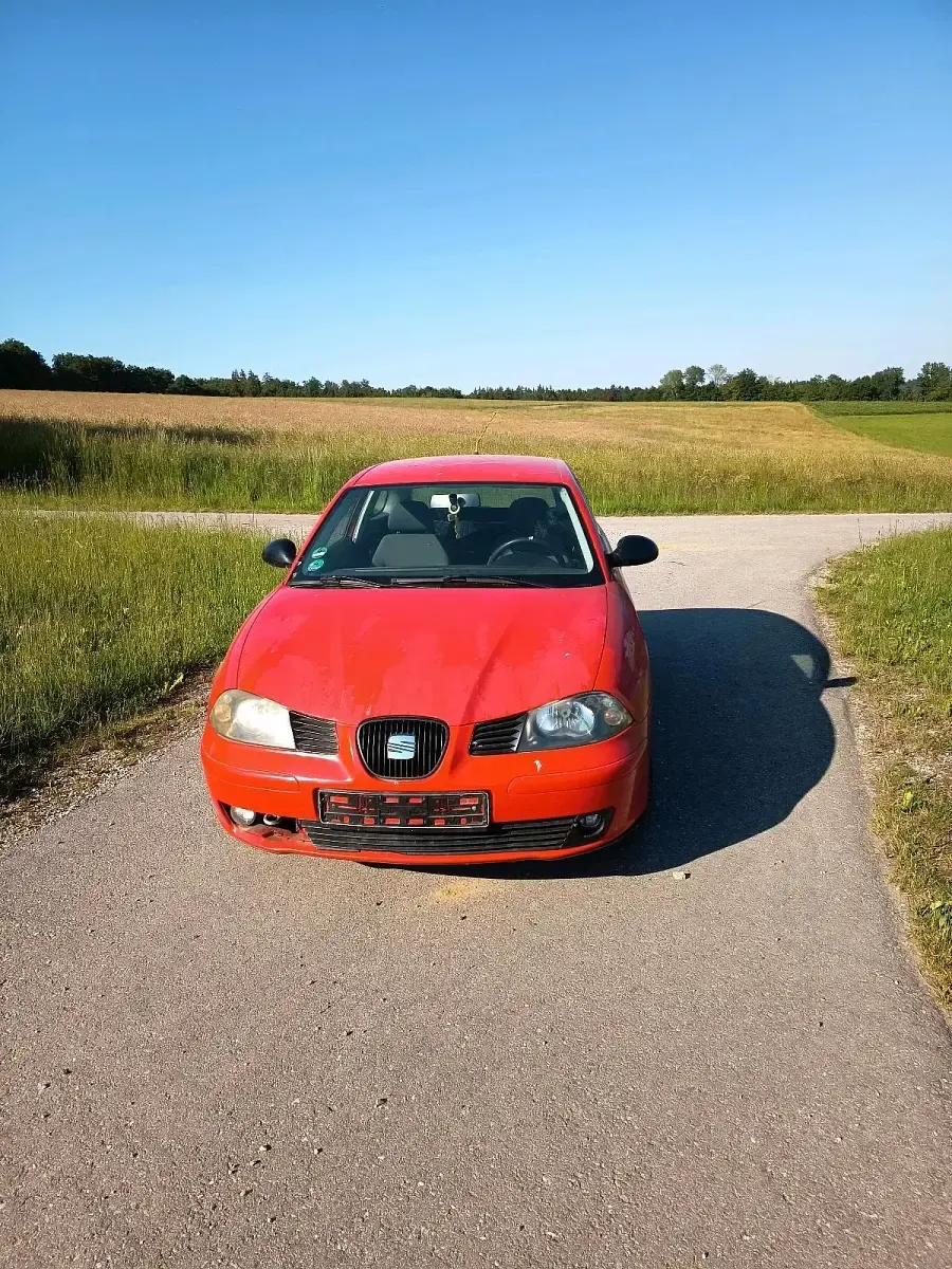 Używany Seat Ibiza 75 KM (55 kW) 2004 Hatchback