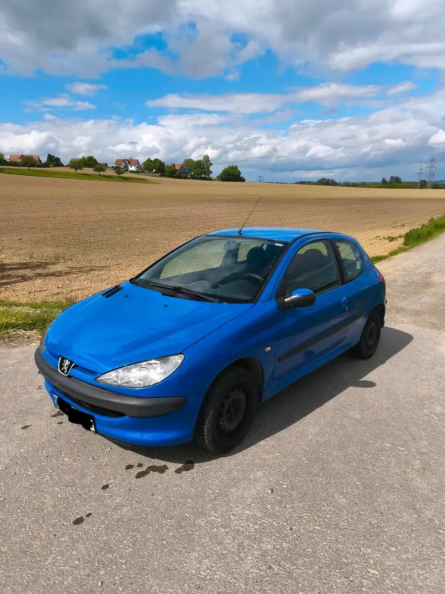 Gebraucht Peugeot 206 60 PS (44 kW) 2005 Blau Kleinwagen