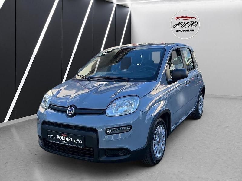 Grau Gebraucht 2023 Fiat Panda Kleinwagen | 8.800 € (Guter Preis) - Bild 1/4