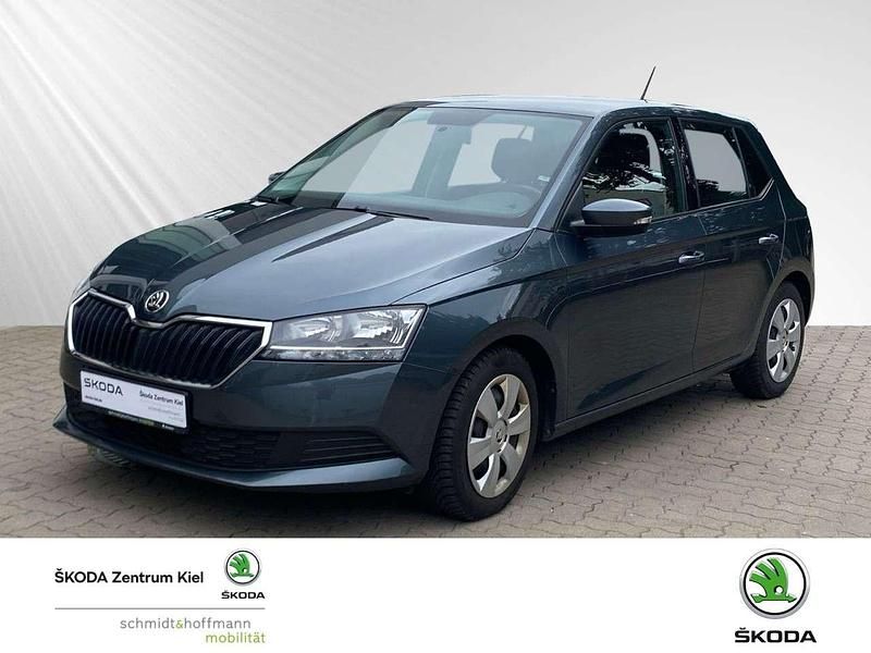 Grau Gebraucht 2021 Skoda Fabia Cool Plus Kleinwagen | 12.480 € (Fairer Preis) - Bild 1/4