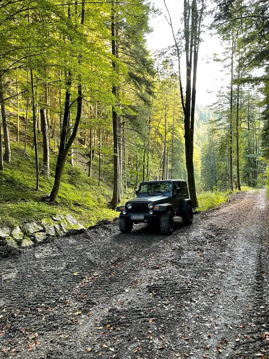 Gebraucht Jeep Wrangler 177 PS (130 kW) 2003 Blau SUV