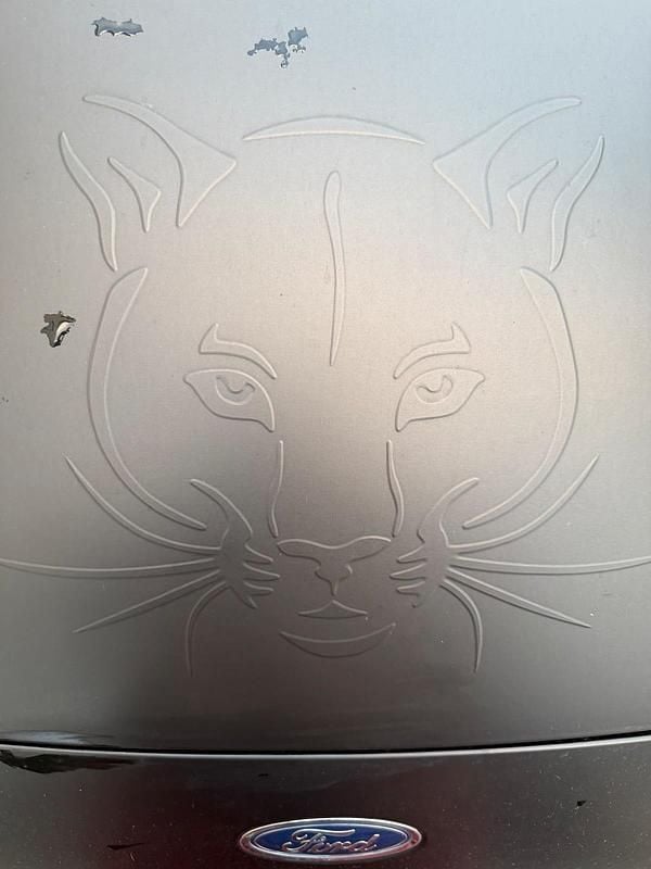 Gebraucht Ford Puma ST-Line 155 PS (114 kW) 2023 Schwarz SUV