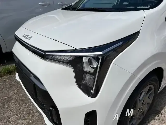 Gebraucht Kia Picanto Vision 63 PS (46 kW) 2025 Clear white Kleinwagen