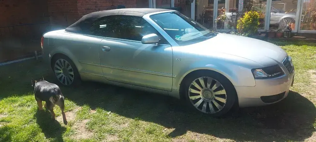 Second-hand Audi Cabriolet 220 CP (161 kW) 2004 Argintiu Cabrio