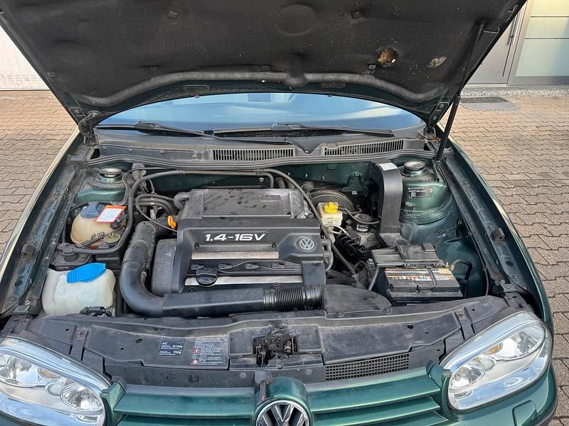 Gebraucht VW Golf IV 75 PS (55 kW) 1998 Grün Kleinwagen