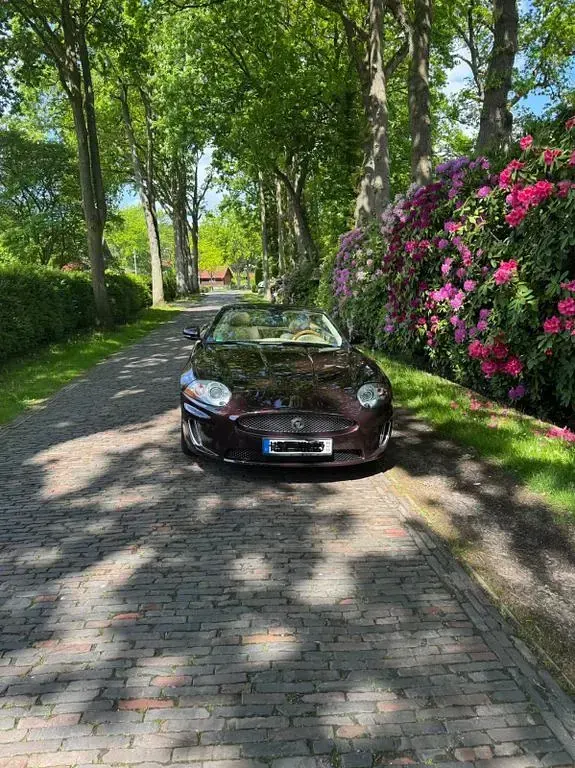 Gebraucht Jaguar XK Portfolio 385 PS (283 kW) 2011 Cabrio