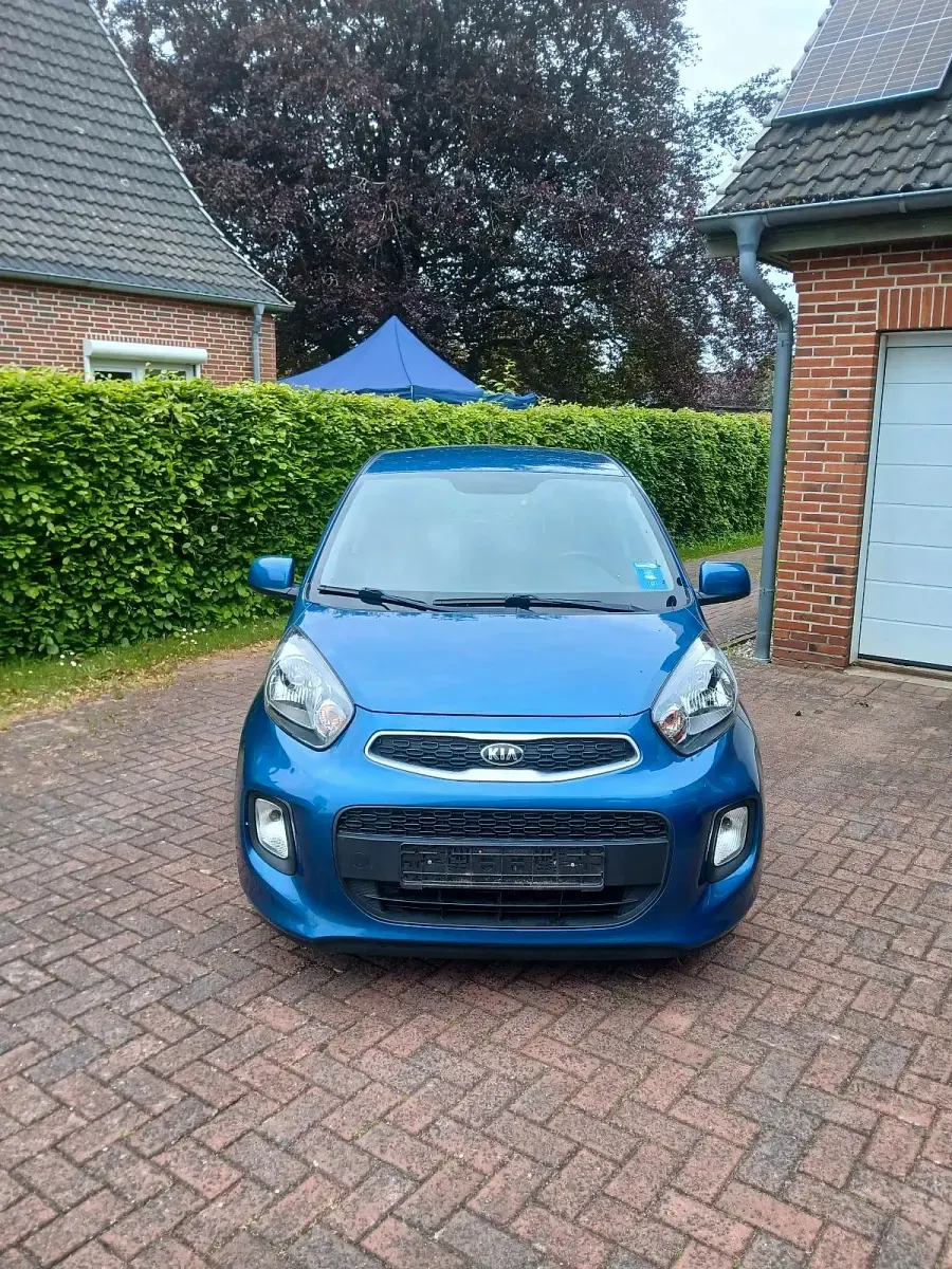 Używany Kia Picanto 67 KM (49 kW) 2016 Niebieski Hatchback