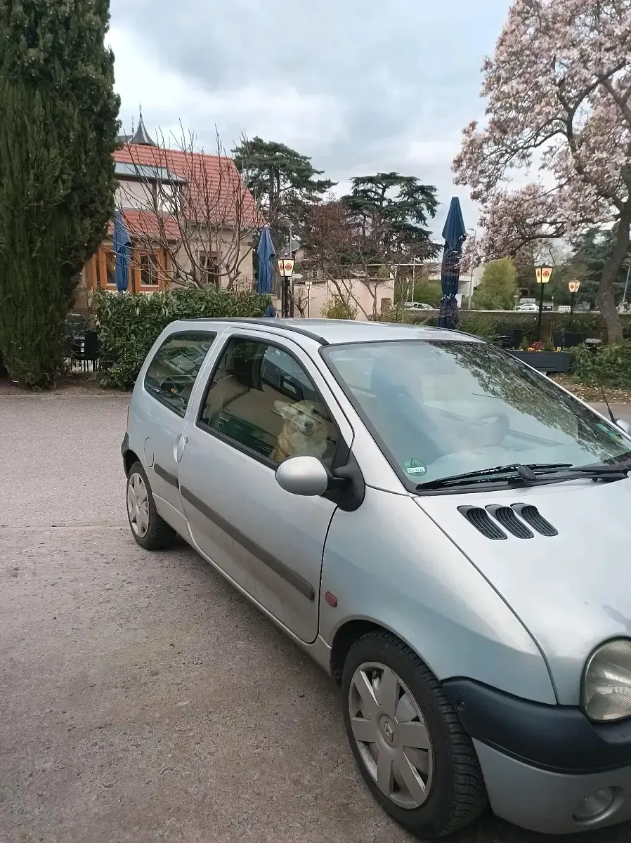 Używany Renault Twingo 45 KM (33 kW) 2004 Srebrny Hatchback
