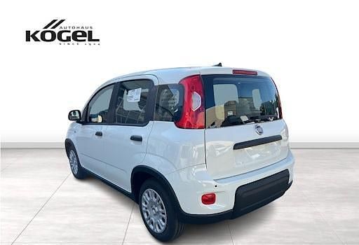 Gebraucht Fiat Panda 70 PS (51 kW) 2024 Weiß (gelato weiss) Kleinwagen