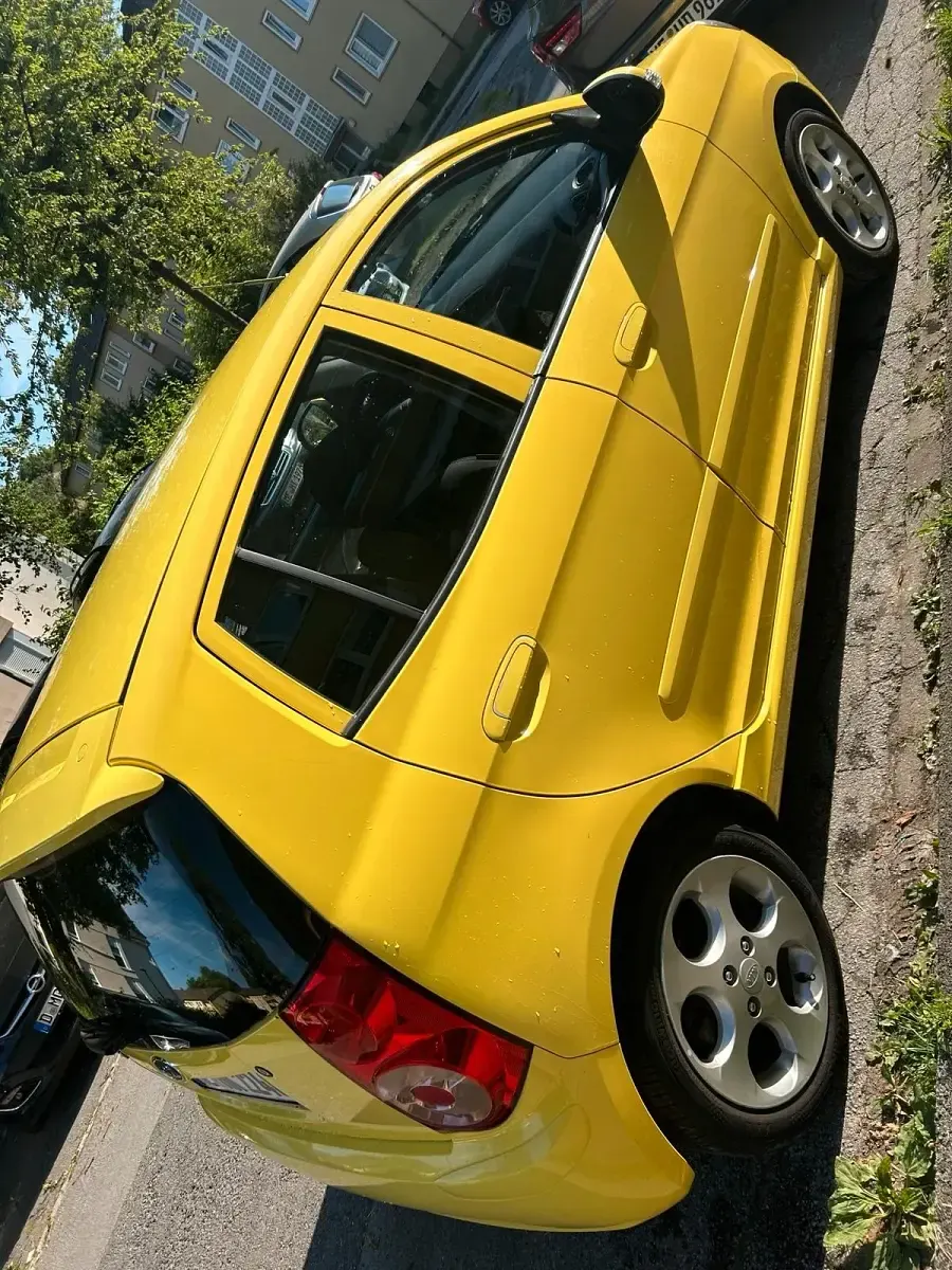 Gebraucht Kia Picanto 65 PS (47 kW) 2008 Kleinwagen