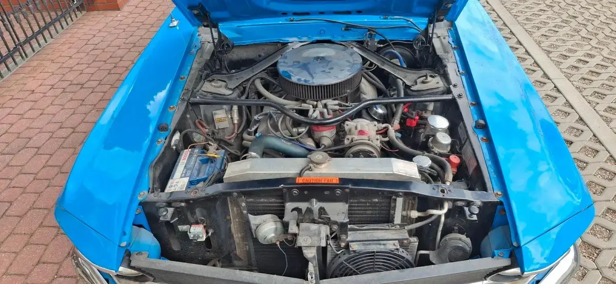 Occasion Ford Mustang 600 ch (441 kW) 1970 Bleue Cabriolet