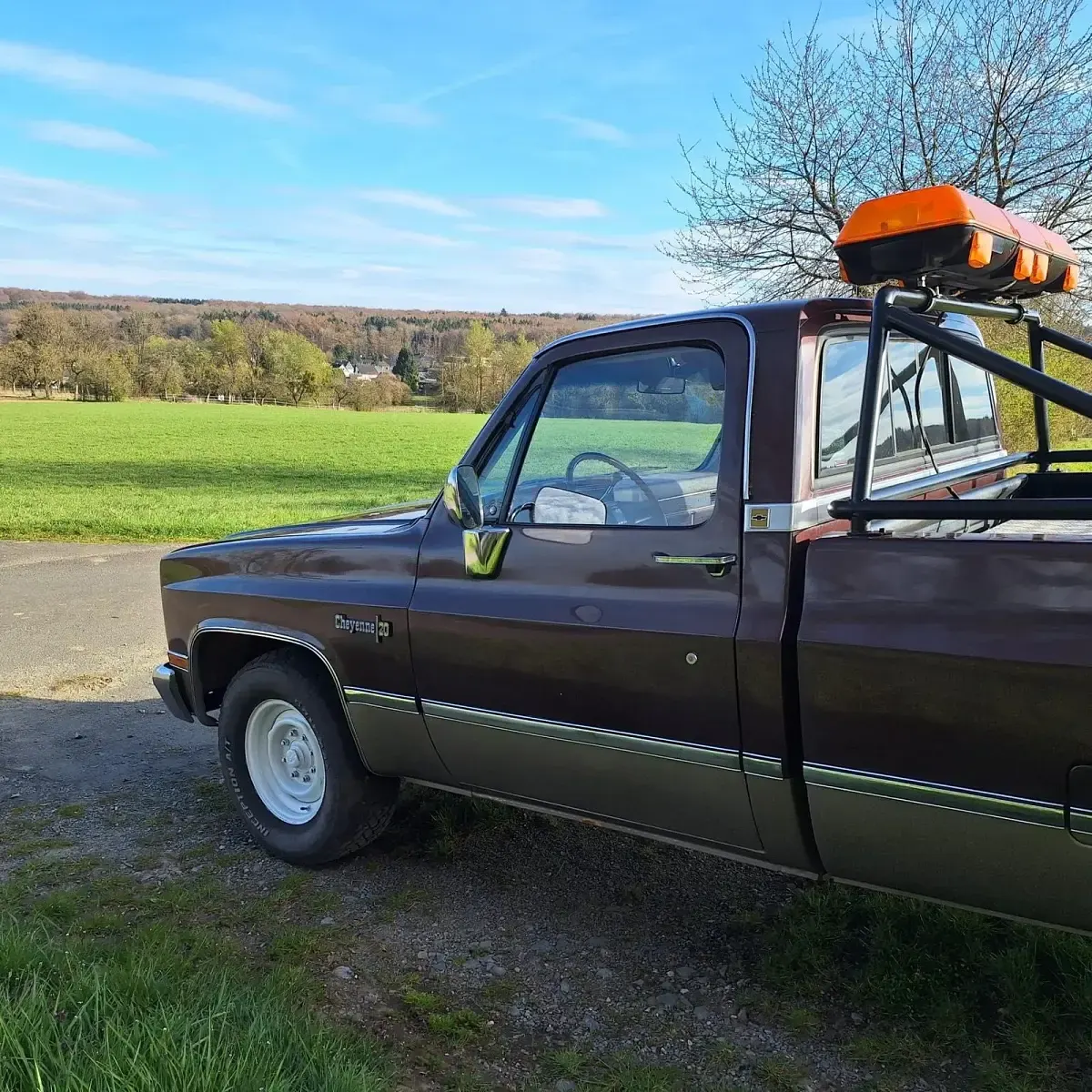 Gebraucht Chevrolet C20 162 PS (119 kW) 1981 Braun Pickup