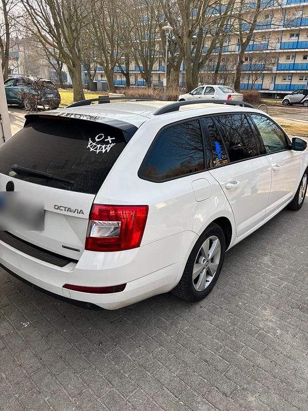 Gebraucht Skoda Octavia GreenLine 110 PS (80 kW) 2014 Weiß Kleinwagen