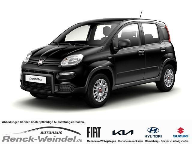 Schwarz Neu 2024 Fiat Panda Kleinwagen | 16.299 € (Etwas zu teuer) - Bild 1/4