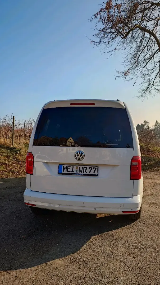 Gebraucht VW Caddy Trendline 102 PS (75 kW) 2019 Weiß Van / Kleinbus