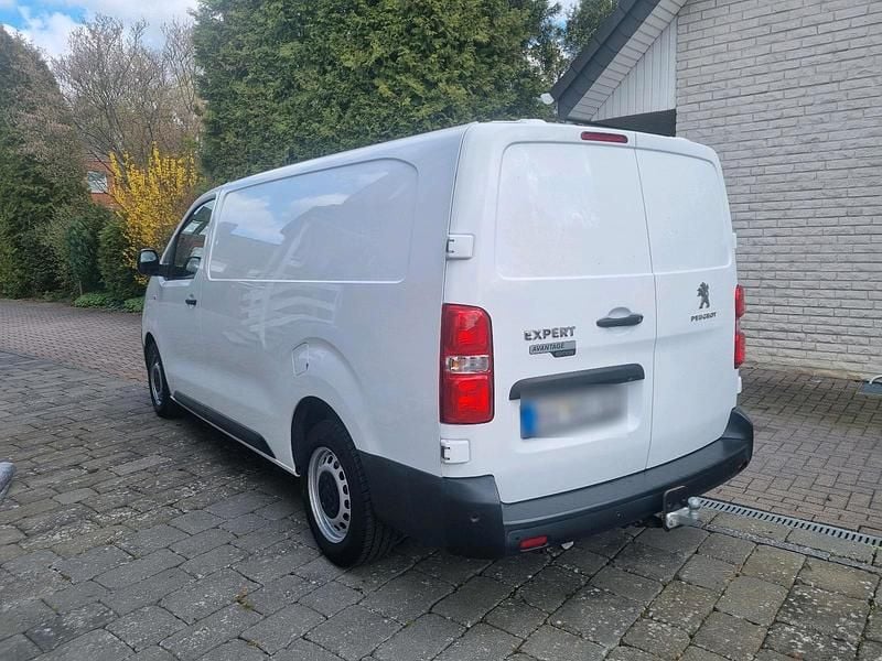Gebraucht Peugeot Expert 150 PS (110 kW) 2019 Weiß Van