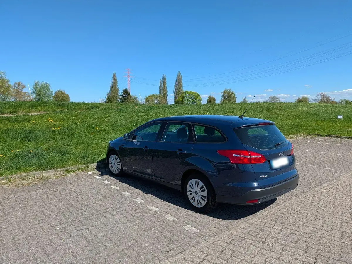 Usado Ford Focus Trend 125 CV (91 kW) 2015 Azul Familiar