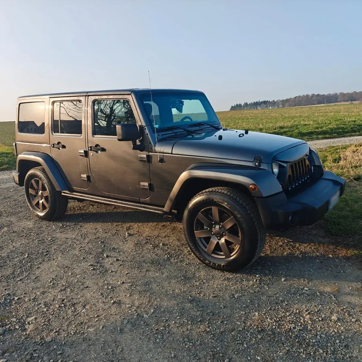 Gebraucht Jeep Wrangler 200 PS (147 kW) 2018 Grau SUV