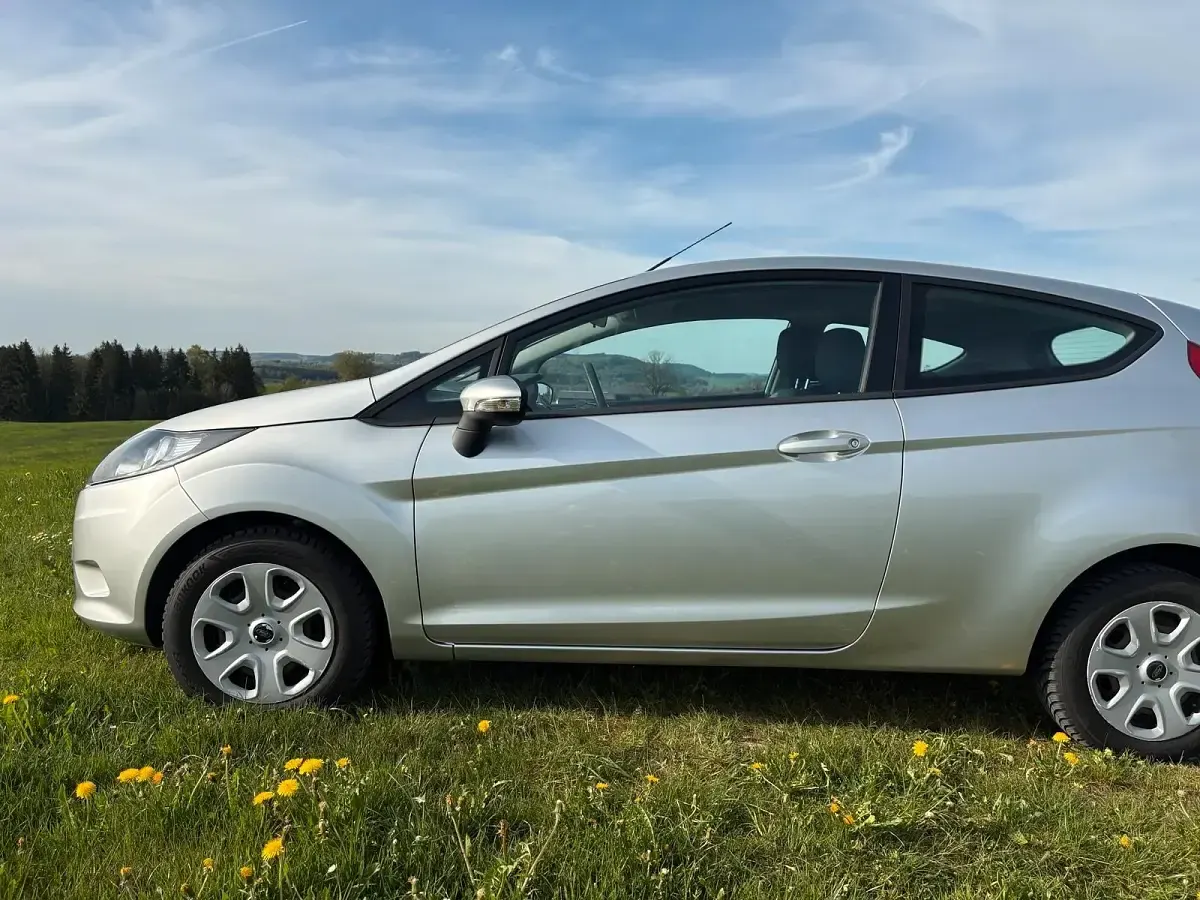 Usata Ford Fiesta 65 CV (47 kW) 2010 Argento Utilitaria