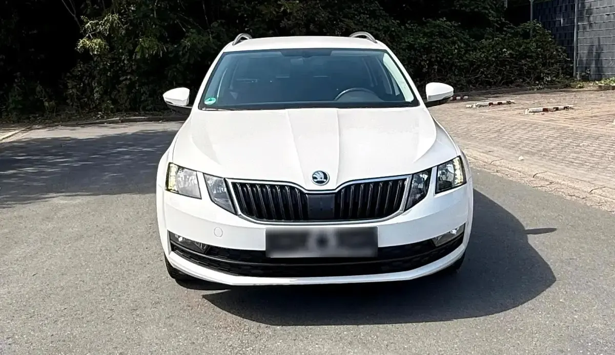 Gebraucht Skoda Octavia 116 PS (85 kW) 2019 Weiß Kombi