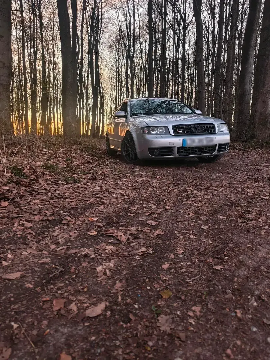 Gebraucht Audi S4 350 PS (257 kW) 2004 Silber Kombi