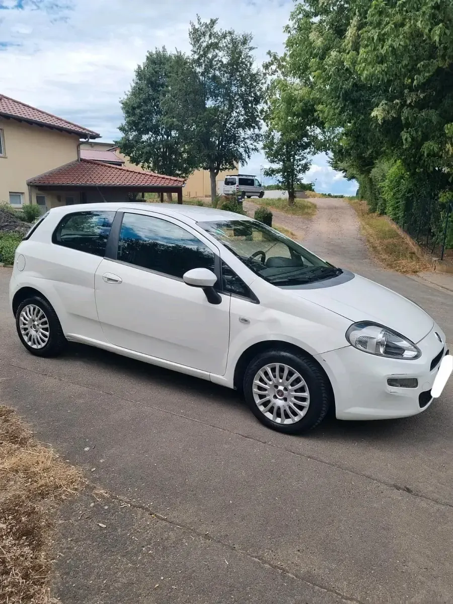 Gebraucht Fiat Punto Evo 70 PS (51 kW) 2014 Weiß Kleinwagen
