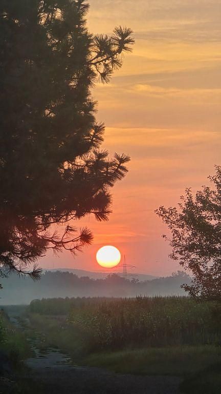 Gebraucht Fiat Ducato 116 PS (85 kW) 2014 Weiß Van