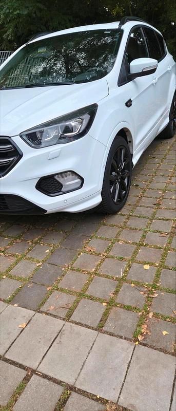 Gebraucht Ford Kuga ST-Line 150 PS (110 kW) 2019 Weiß SUV