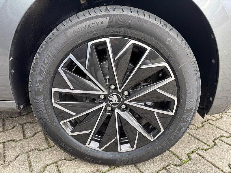 Gebraucht Skoda Kamiq Selection 150 PS (110 kW) 2025 Grau SUV