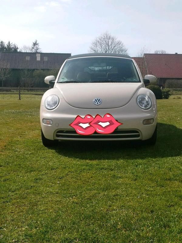 Gebraucht VW New Beetle Cabriolet 101 PS (74 kW) 2003 Beige Cabrio